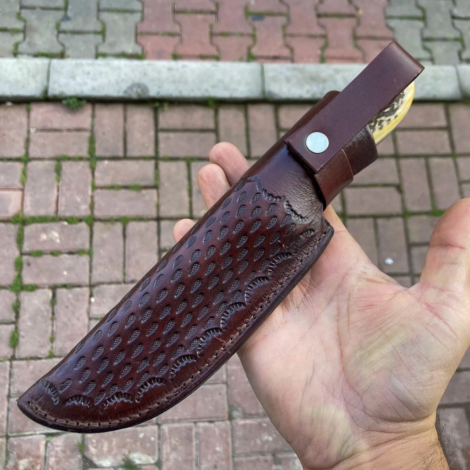 Damascus Blade Stag Handle Collector Knife