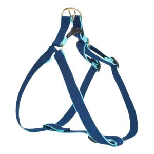 Harness | Navy & Aqua